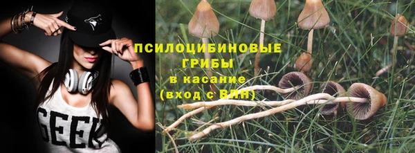 дмт Алзамай