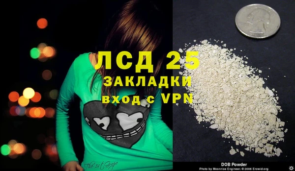 дмт Алзамай